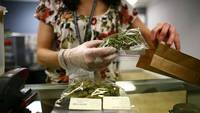 Afacerile cu marijuana infloresc in SUA. De ce stau deoparte corporatiile