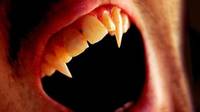 Alin Burcea: Mitul lui Dracula trebuie exploatat. Poate aduce sute de mii de straini in Romania