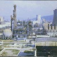 BCR vrea sa coverteasca in actiuni jumatate din creditul Oltchim