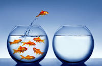 Blue Ocean Strategy: Cum sa generezi rapid idei geniale