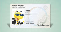 BuzzCamp dezvolta, consiliaza si recruteaza tineri