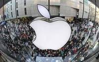 Ce inseamna cu adevarat sa lucrezi pentru Apple: Oamenii sunt nebuni!
