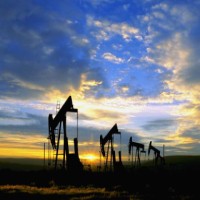 Petrolul se ieftineste