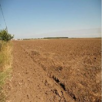 Terenurile intravilane s-au ieftinit, efect al prabusirii pietei imobiliare