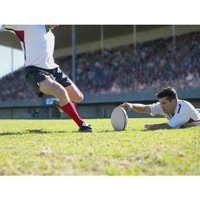 Cupa Mondiala de Rugby va aduce 1,67 mld USD in economia globala din sport