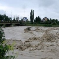 Ploile au provocat inundatii.Afla care este situatia in Covasna