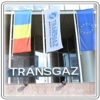 FMI conditioneaza Romania de privatizarea Transgaz FMI conditioneaza Romania de privatizarea Transgaz