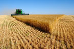 Top 10 Firme din Industria Agricola