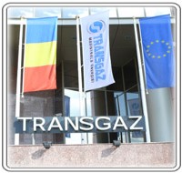 FMI conditioneaza Romania de privatizarea Transgaz