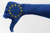 Europa paseste in noul an 2015 cu buturuga mica in drum