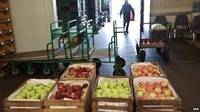 Germania asigura ca embargoul rusesc va avea "un impact redus" in Europa