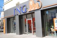ING: Un curs de 5 lei euro ar creste exporturile cu 4%