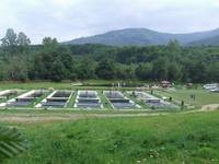 Idei de afaceri: Pastravaria, o afacere de 100.000 de euro pe an