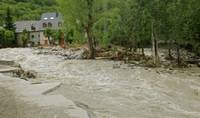 Inundatiile ne lasa fara legume si grau