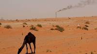 Jocul sauditilor: Barilul va costa si 200 de dolari, cand se va termina petrolul ieftin