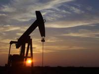 Jocurile de pe piata petrolului ar putea duce la sfarsitul OPEC - previziuni