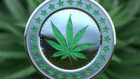 Legalizarea consumului de marijuana, o poarta catre investitii majore