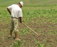 Romania trebuie sa dea inapoi 41 de milioane de euro din fondurile UE pentru agricultura