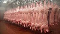 Rusia extinde restrictiile la importurile alimentare din UE
