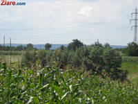 Sa nu ne mai plangem de ploaie - se anunta cel mai bun an in agricultura din ultimul deceniu