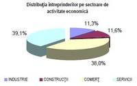 Serviciile, principalul sector de activitate pentru firme