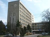 Stagii de pregatire pentru economisti in marile companii