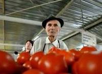 Standuri speciale cu preturi preferentiale pentru pensionari, in Piata Obor