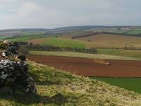 Temperaturile ridicate ar putea spori productia agricola din 2011