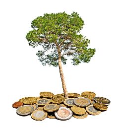 Ialomitianu: Bugetul pe 2011 trebuie sa aloce mai multi bani pentru investitii