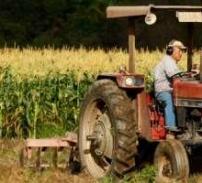 Romania, ultimul loc din UE la productivitatea in agricultura