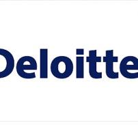 Deloitte: 2010, anul clarificarilor pe piata producerii de electricitate din regenerabile in Romania 