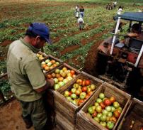 Agrostar a obtinut taxarea inversa in sectorul agroalimentar 