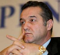 Avicola lui Gigi Becali, in insolventa 