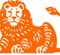 ING: inflatia in 2010 va fi de 4,1% 