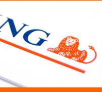 ING vede un curs apropiat de 4,3 lei/euro, maximul nu va depasi 4,5 lei