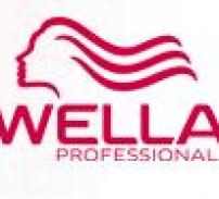 Wella Romania a fost preluata Interbrands 