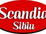 Scandia Romania vrea in 2010 afaceri similare cu cele de anul trecut, de 203 milioane lei