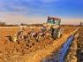 2011- un an in care agricultura va fi compromisa?