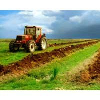 Un nou fond de creditare dedicat dezvoltarii sectorului agricol