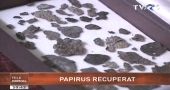 Cel mai vechi papirus restituit de Rusia